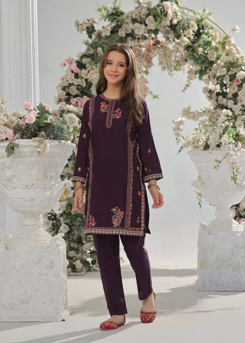 Kids 2-Piece Embroidery Suit